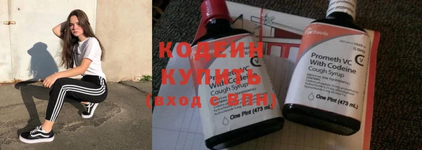 гидра Абаза