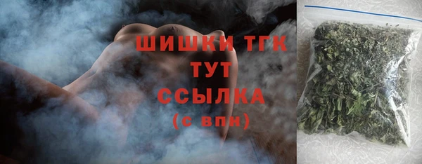 гидра Абаза