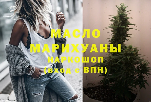 гидра Абаза