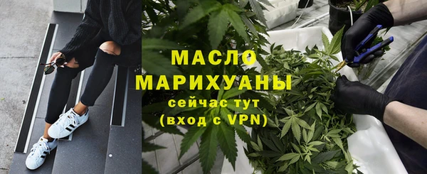 гидра Абаза