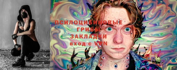 гидра Абаза