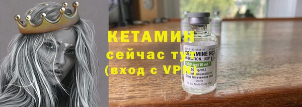 гидра Абаза