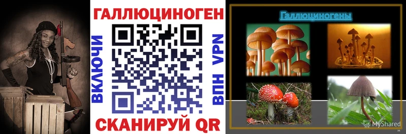 Купить где  Адыгейск  Псилоцибиновые грибы мицелий 